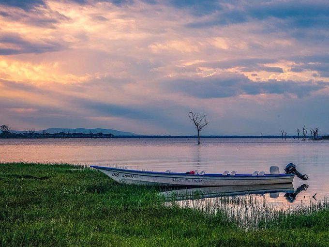 The essence of a boat safari on Lake Naivasha